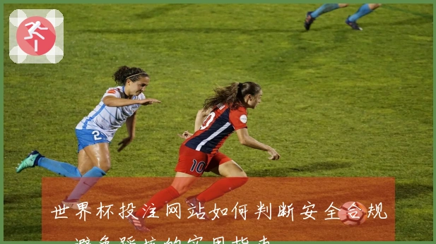 世界杯投注网站如何判断安全合规，避免踩坑的实用指南
