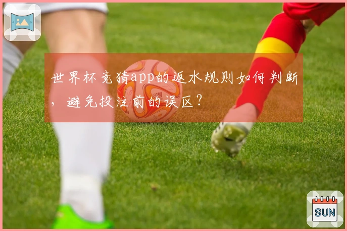 世界杯竞猜app的返水规则如何判断，避免投注前的误区？