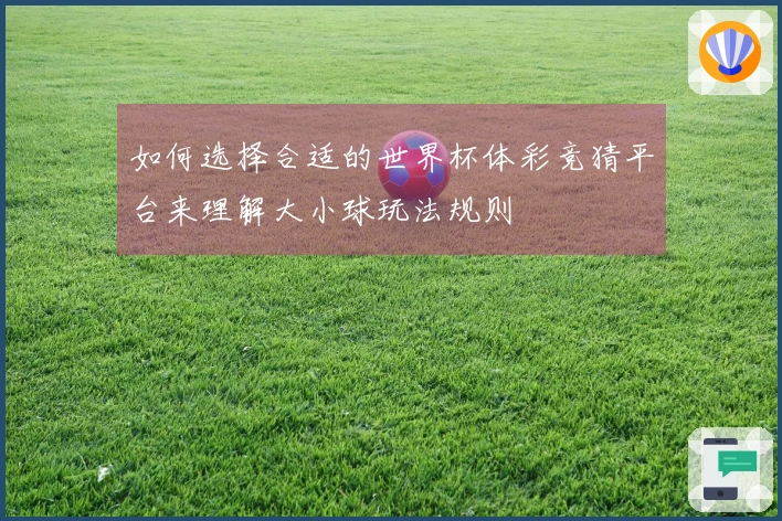 如何选择合适的世界杯体彩竞猜平台来理解大小球玩法规则