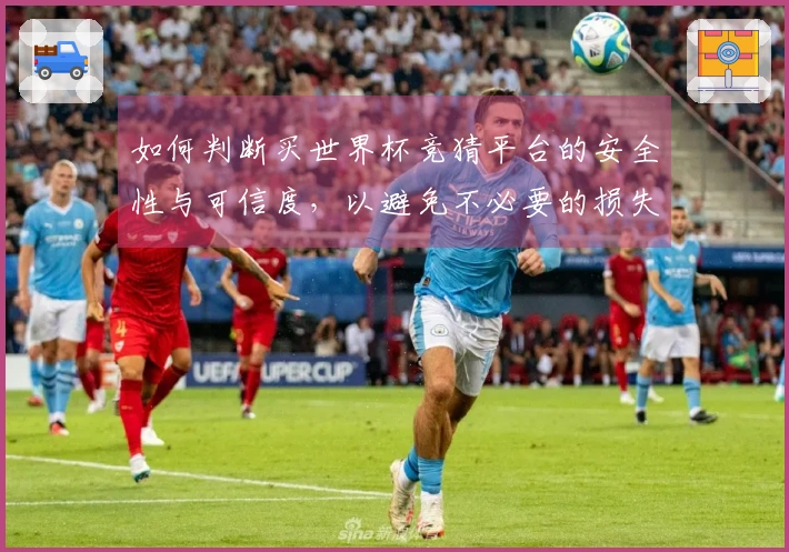 如何判断买世界杯竞猜平台的安全性与可信度，以避免不必要的损失