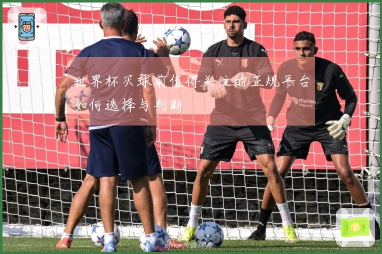 世界杯买球前值得关注的正规平台如何选择与判断