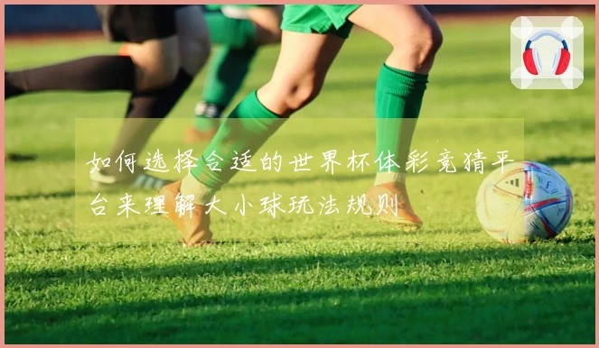 如何选择合适的世界杯体彩竞猜平台来理解大小球玩法规则