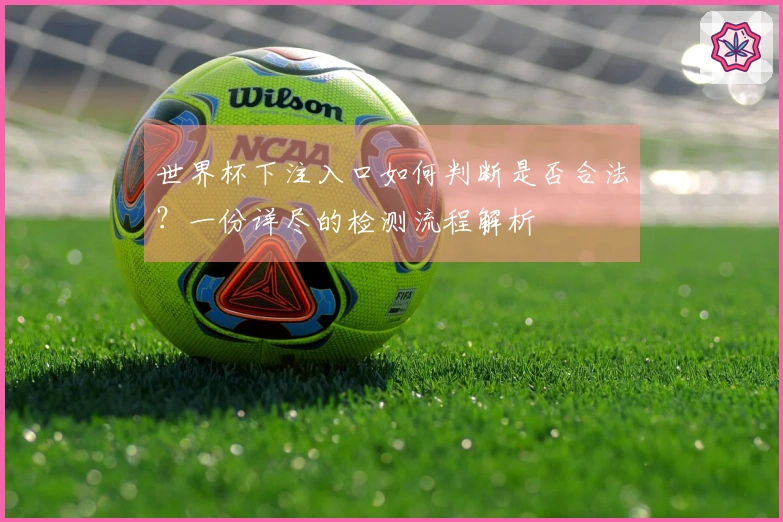 世界杯下注入口如何判断是否合法？一份详尽的检测流程解析