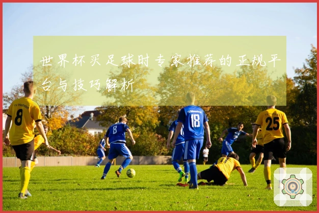 世界杯买足球时专家推荐的正规平台与技巧解析