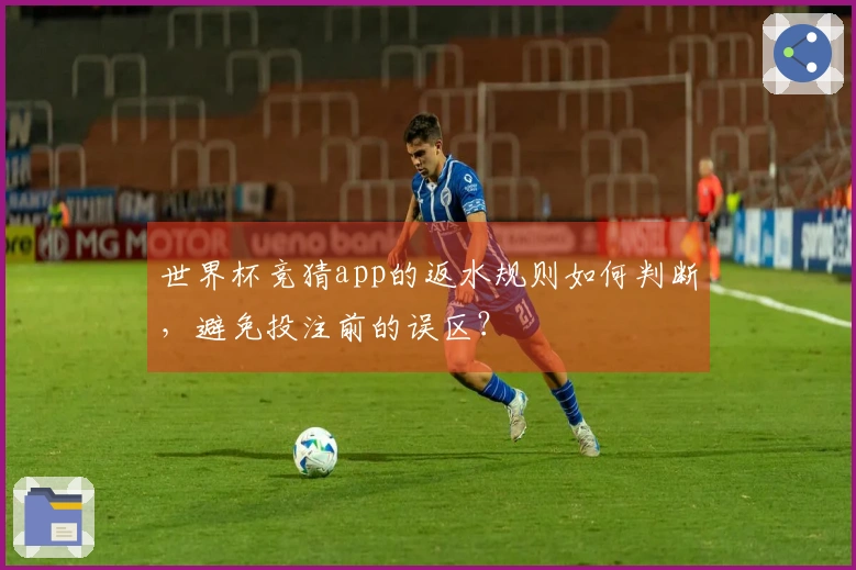 世界杯竞猜app的返水规则如何判断，避免投注前的误区？