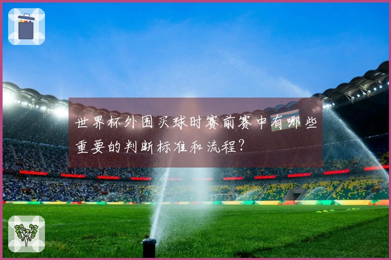 世界杯外围买球时赛前赛中有哪些重要的判断标准和流程？