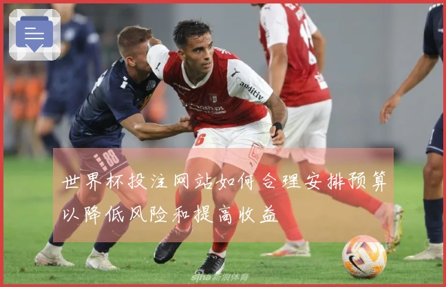 世界杯投注网站如何合理安排预算以降低风险和提高收益