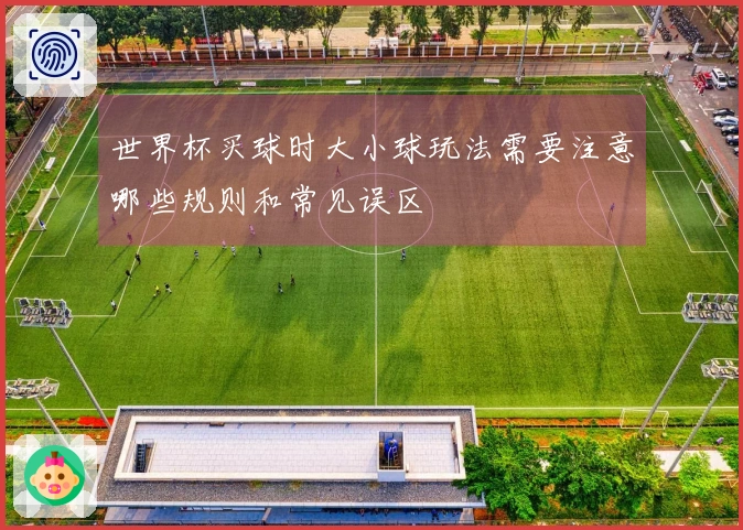 世界杯买球时大小球玩法需要注意哪些规则和常见误区