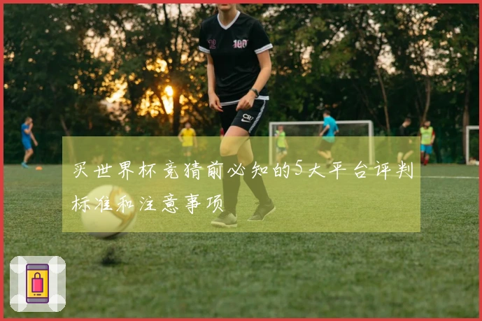 买世界杯竞猜前必知的5大平台评判标准和注意事项