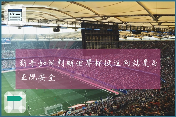新手如何判断世界杯投注网站是否正规安全