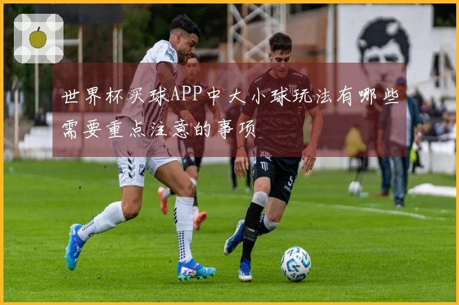 世界杯买球APP中大小球玩法有哪些需要重点注意的事项