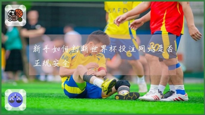 新手如何判断世界杯投注网站是否正规安全