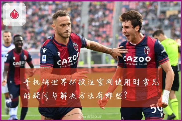 手机端世界杯投注官网使用时常见的疑问与解决方法有哪些？