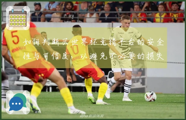 如何判断买世界杯竞猜平台的安全性与可信度，以避免不必要的损失