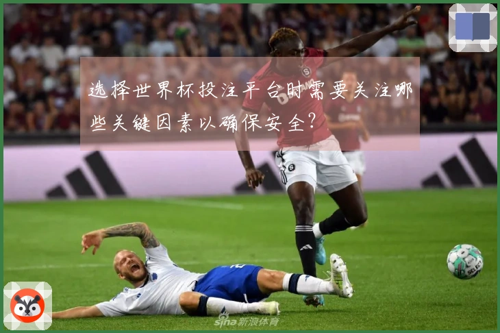 选择世界杯投注平台时需要关注哪些关键因素以确保安全？