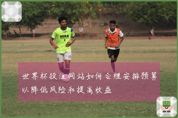 世界杯投注网站如何合理安排预算以降低风险和提高收益