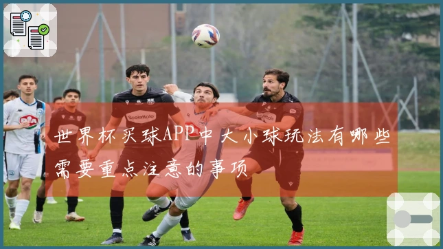 世界杯买球APP中大小球玩法有哪些需要重点注意的事项