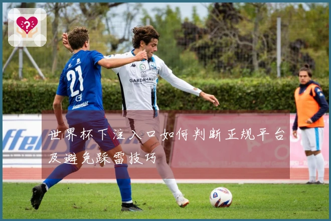 世界杯下注入口如何判断正规平台及避免踩雷技巧