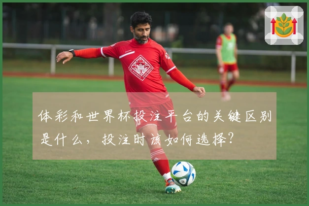 体彩和世界杯投注平台的关键区别是什么，投注时该如何选择？